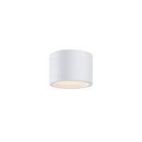 RENDER_C090CL-10W3K-W_on_w_standard