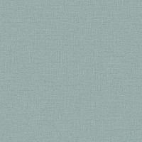 RGI1008-11