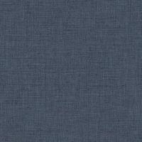 RGI1004-17