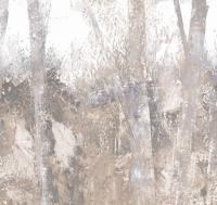 Thicket%20ETD6%20001