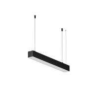 RENDER_312026_on_w_standard