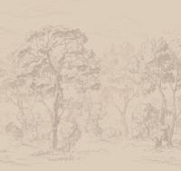 Sketch%20ETD9%20003