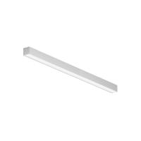 RENDER_LL311019_on_w_standard