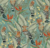 Hoopoe%20ETD7%20006