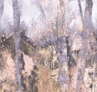 Thicket%20ETD6%20007