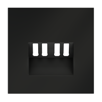Render_front_VLS001508_w_standard