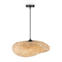 FR5243PL-01BR8