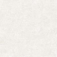 RGI1006-3