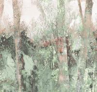 Thicket%20ETD6%20005%20%20