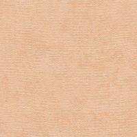 78090511-cdae-11eb-9961-00155d4d0504