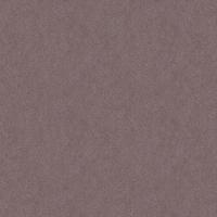 ST0101