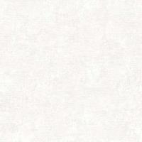 RGI1006-1