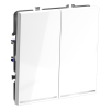 Renderright_VLS020201_w_standard